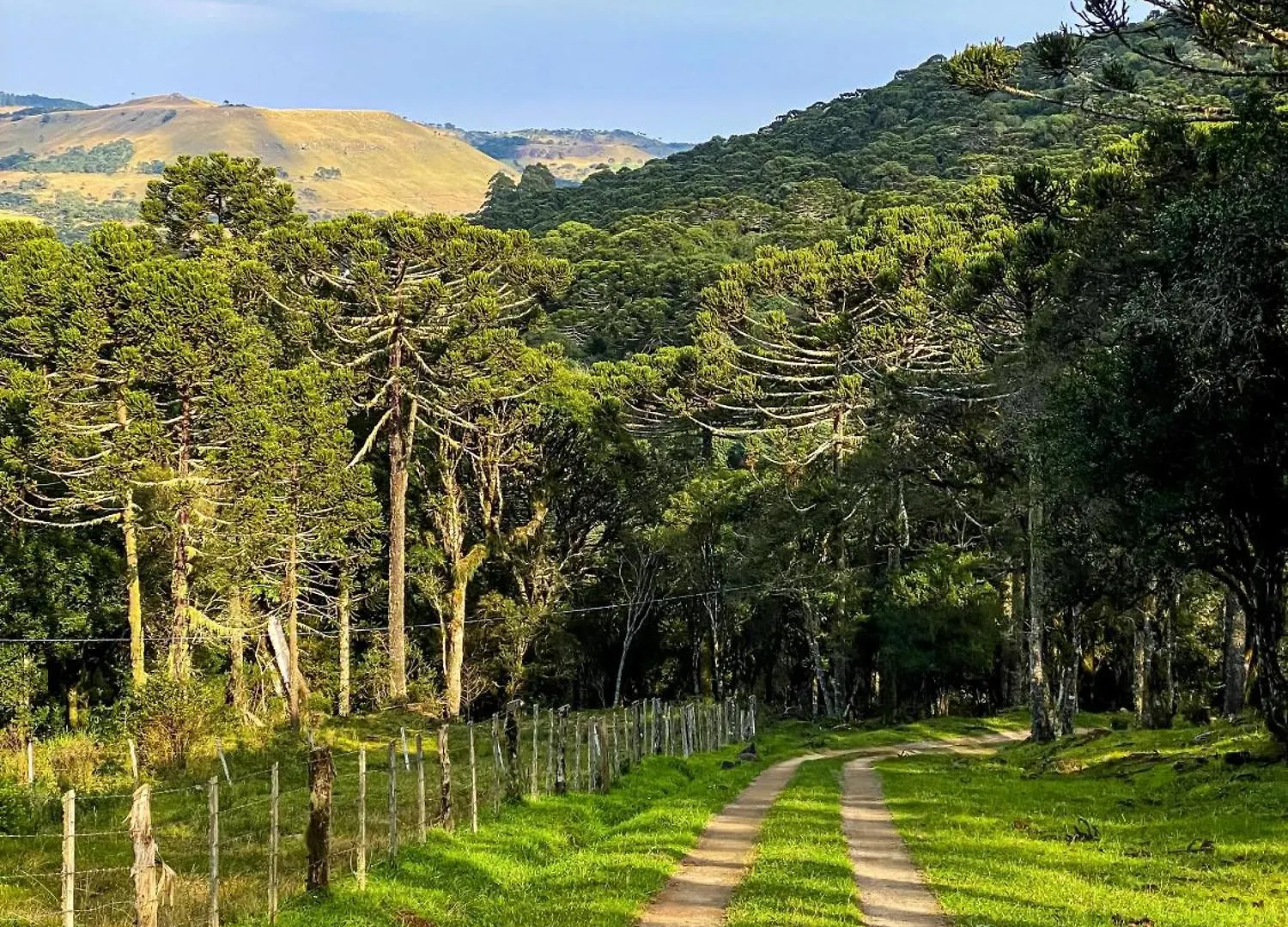 Chales Recanto Do Vale - Tucano Bom Jardim da Serra Chalé